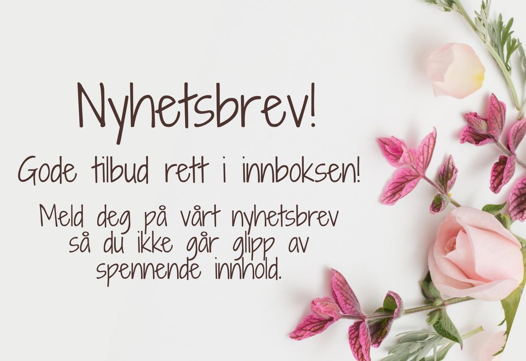 Det Lille Ekstra narvik, nettbutikk, netthandel, shopping,, tjenester, personlig veiledning, klær, mote, tilbehør, nyhetsbrev, kundeklubb, mail, epost, tilbud, nyheter, tips